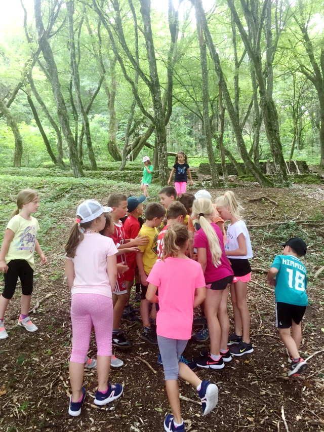 Sommerferienprogramm 2019